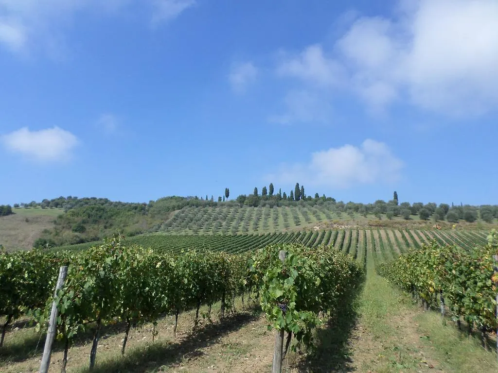 Tenuta Villa Rocchi Torrita di Siena Italia